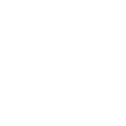 Canopied generator 